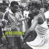 Image de Wanted Afro Groove