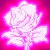 Image de Rose Fluo (Pink Vinyl) [Vinyl LP] en occasion ou reconditionné