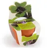 Image de Mini kit Trèfle à 4 feuilles en pot de culture terre cuite Radis et Capucine 6 cm