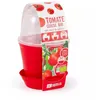 Image de radis et capucine - pot en cloche - tomate cerise