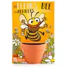 Image de radis et capucine - fleurs des abeilles à semer - carte avec pot