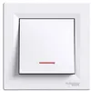 Image de SCHNEIDER ELECTRIC Interrupteur poussoir lumineux encastrable Asfora 10 A