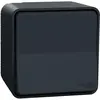 Image de Schneider Electric, Interrupteurs éclairage + volets électriques, Rocker Switch IP55