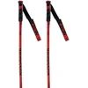 Image de Rossignol Bâtons Hero Gs-sg