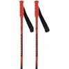 Image de Rossignol Bâtons Junior Hero Gs