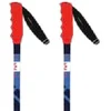 Image de Kerma Bâtons Speed Gs-sg Junior