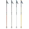 Image de Rossignol, Bâtons de ski