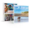 Image de SMARTBOX - Coffret Cadeau 1 activité équestre d’environ 1h pour 2 personnes-Sport & Aventure