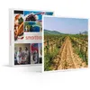 Image de SMARTBOX - Coffret Cadeau Visite du vignoble de la Bastide des oliviers et de sa cave avec dégustation pour 2-Gastronomie