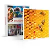 Image de SMARTBOX - Coffret Cadeau Participez à la sauvegarde des abeilles avec 1 an de parrainage d'une ruche-Multi-thèmes