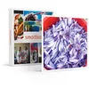 Image de SMARTBOX - Coffret Cadeau Visite d’une safranière et d’un vignoble en agriculture biologique avec dégustations-Gastronomie