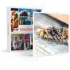 Image de SMARTBOX - Coffret Cadeau Parrainage de ruche et extraction de miel près de Nantes avec produits à ramener chez vous-Gastronomie