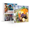 Image de SMARTBOX - Coffret Cadeau Accès au spa, gommage et déjeuner dans un restaurant gastronomique près de Nantes-Bien-être