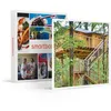 Image de SMARTBOX - Coffret Cadeau 3 jours en famille dans une maison dans les arbres avec mini-golf près de Poitiers-Séjour