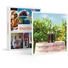 Image de SMARTBOX - Coffret Cadeau Visite, dégustation et accord mets-vins en duo aux portes de Paris-Gastronomie