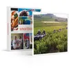 Image de SMARTBOX - Coffret Cadeau Quad en famille : randonnée de 2h pour 2 adultes et 2 enfants près de Brive-la-Gaillarde-Sport & Aventure