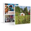 Image de SMARTBOX - Coffret Cadeau Séjour insolite en yourte avec journée au spa près de Paris-Séjour