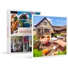 Image de SMARTBOX - Coffret Cadeau 3 jours en hôtel 4* près de Strasbourg avec dîner en restaurant primé et accès à l'espace détente-Séjour
