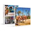 Image de SMARTBOX - Coffret Cadeau 3 jours en riad avec hammam et excursion en dromadaire dans la Palmeraie de Marrakech-Séjour