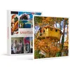 Image de SMARTBOX - Coffret Cadeau 3 jours insolites en cabane perchée dans les arbres avec accès au spa près de Carnac-Séjour