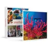 Image de SMARTBOX - Coffret Cadeau Baptême de plongée passionnant de 3h en duo au large de Fréjus-Sport & Aventure