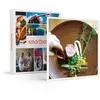Image de SMARTBOX - Coffret Cadeau Adresses primées : menu 4 plats au restaurant Ambroisie sur les bords du lac Saint-Félix-Gastronomie
