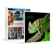 Image de SMARTBOX - Coffret Cadeau Rencontre avec les reptiles et les amphibiens pour 2 personnes près de Mâcon-Sport & Aventure