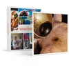 Image de SMARTBOX - Coffret Cadeau Parenthèse relaxante : massage d'1h15, exfoliation de 30 min et accès à l'espace bien-être-Bien-être