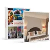 Image de SMARTBOX - Coffret Cadeau 2 jours en hôtel Mercure 4* avec dîner et massage près d'Agen-Séjour
