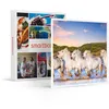 Image de SMARTBOX - Coffret Cadeau Séjour romantique : 2 jours dans un hôtel en Camargue-Séjour