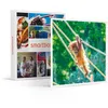 Image de SMARTBOX - Coffret Cadeau Journée découverte au Parc Zoologique d'Amnéville pour 5 personnes-Multi-thèmes