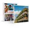 Image de SMARTBOX - Coffret Cadeau City trip en Louisiane : 8 jours en hôtels 3* avec visites des lieux incontournables-Séjour