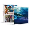 Image de SMARTBOX - Coffret Cadeau À la découverte des secrets de l’océan : 2 entrées adulte coupe-file à l’aquarium Nausicaá en basse saison-Sport & Aventure