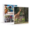 Image de SMARTBOX - Coffret Cadeau Journée zoo en duo : 2 entrées adultes pour le Safari de Peaugres-Sport & Aventure