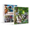 Image de SMARTBOX - Coffret Cadeau Journée zoo en famille pour 1 adulte et 2 enfants au Safari de Peaugres-Sport & Aventure
