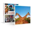 Image de SMARTBOX - Coffret Cadeau Passion animaux-Multi-thèmes