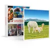 Image de SMARTBOX - Coffret Cadeau Découverte des animaux-Multi-thèmes