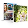 Image de SMARTBOX - Coffret Cadeau Pour une grand-mère en or-Multi-thèmes