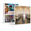 Image de SMARTBOX - Coffret Cadeau Découverte du domaine Château de La Dauphine avec dégustation, pour 8-Multi-thèmes