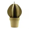 Image de Cactus boule - 20 cm