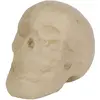 Image de Décopatch Tête de mort en carton 15,5x10,5x12cm