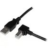 Image de StarTech Câble USB 2.0 de 3 m, connecteur A vers connecteur B coudé, mâle/mâle (3 m, USB 2.0), Câble USB