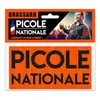 Image de brassard picole nationale - CD5404