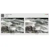 Image de Cokin Filtre X154 Gris neutre ND8 (0.9) (Filtre gris neutre), Filtre photo, Gris