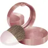 Image de Bourjois, Fard à joues, Petit pot rond (15 Rose Eclat)