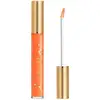 Image de Gucci Gloss de Beauté - Gloss à Lèvres Repulpant