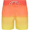 Image de Quiksilver, Hommes, Short de bain, All Day Fade 16 Shorts, (XL)