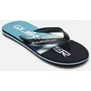 Image de MOLOKAI STRIPE 25 par Quiksilver Bleu 42 Homme