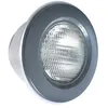 Image de Projecteur 300W PAR-56 Gris Foncé pour piscine liner/béton - Hayward