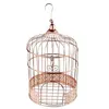 Image de tirelire cage oiseau métal ø20cm 31cm or rose - chalayer 000620200000020